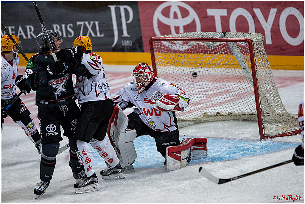 DEL, Koelner Haie - Fishtown Pinguins Bremerhaven, 29.01.2017